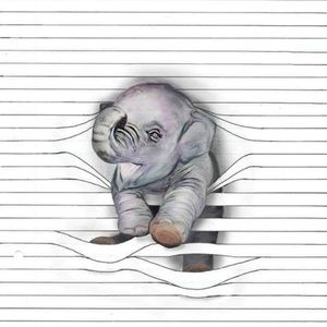 Meet your Posher, Aneesha